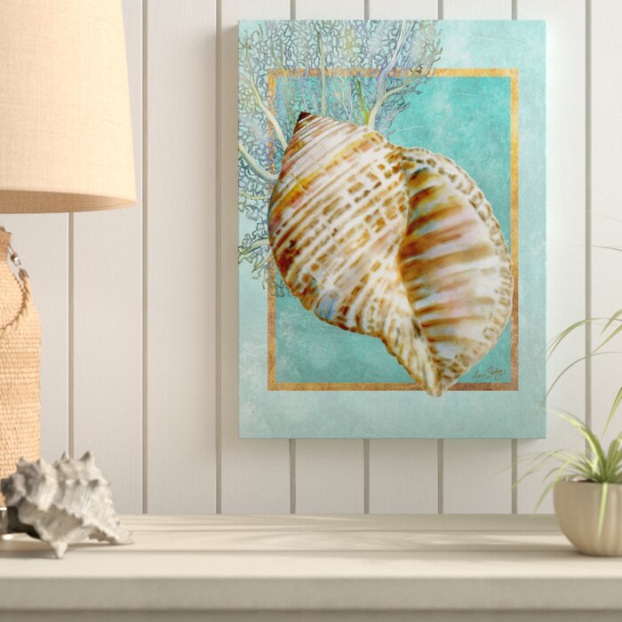 Highland Dunes Turban Shell And Coral By Lori Schory Graphic Art On Canvas Wayfair